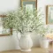 Seme za cveće Šlajer - dvogodišnji, beli - Gypsophila paniculata 3675 - thumbnail 2