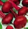 Seme - Cvekla egipatska - Beta vulgaris L. var. conditiva 257 - thumbnail 2