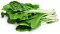 Seme za povrće - Blitva srebrnolisna - Beta vulgaris ssp. vulgaris var. cicla 483 - thumbnail 2