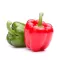 Paprika Babura - Kalifornijsko čudo - seme - Capsicum annuum L. 569 - thumbnail 2