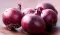 Crveni luk - ptujski - seme - Allium cepa L. 596 - thumbnail 2