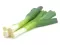 Praziluk karentan - seme - Allium porrum L. 614 - thumbnail 2