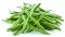 Seme - Boranija top crop - Phaseolus vulgaris L. 80g SE 1734 - thumbnail 2