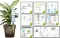 Sistem za zalivanje cveća G.F Garden Aquaflora Holiday Basic 6340 041698 - thumbnail 2