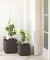 Curver Velika saksija za cveće Cube Planter M 21.5L - thumbnail 2