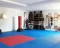 Tatami strunjača Dvostrana Puzzle 100x100x2 Ring RX 3019B - thumbnail 2