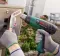 Bosch UniversalHeat 600 Fen za vreli vazduh 06032A6120 - thumbnail 2