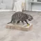 TRIXIE Grebalica-igračka za mačke TABLA 38x30cm - thumbnail 2