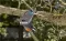 Gardena Teleskopske makaze za grane StarCut 410 plus GA 12001-20 - thumbnail 2