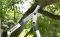Gardena Makaze za grane EnergyStar 600B GA 12006-20 - thumbnail 2