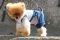 NunaNai pets odelce za pse plavo S/M - thumbnail 2