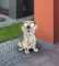 Globo solarna lampa pas - thumbnail 2