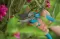 Gardena Baštenske makaze Classic 8754-20 - thumbnail 2