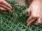 Dekorativna zidna obloga sa PVC lišćem Lavanda 1x1m - thumbnail 3