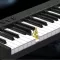 Prenosna Smart Klavijatura - thumbnail 3