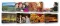 BenQ DC C1255 - Digitalni Fotoaparat 12 MegaPixel-a - thumbnail 3