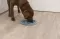 Trixie Posuda za halapljive pse 24cm Slow Feed 25036 - thumbnail 3