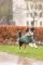 Odelo za pse leđa 40cm City Style Amsterdam dark green Trixie 68715 - thumbnail 3