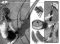 Bazen SanMarina 450 Metalni okvir 450 X 90 cm - thumbnail 3