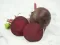 Seme - Cvekla egipatska - Beta vulgaris L. var. conditiva 257 - thumbnail 3