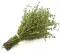 Majčina dušica - Thymus vulgaris L. - seme 1112 - thumbnail 3