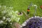Gardena Izlazna dozna Prskalica za podzemnu montažu 3/4  08250-20 - thumbnail 3