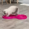 TRIXIE Igračka za mačku ZMIJICA sa svetlećom lopticom FLASHING BALL RACE - thumbnail 3