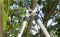 Gardena Makaze za grane EasyCut 680 B GA 12003-20 - thumbnail 3