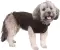 Trixie Pulover za psa Langley Brown 24cm 67642 - thumbnail 3