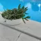 Zen plitka saksija 27cm bela - thumbnail 3
