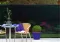 Platno za ograde 1.5m x 10m Extranet 174725 - thumbnail 4