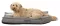 Jastuk za pse Trixie Talis grey 110cm 36483 - thumbnail 4
