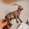 Schleich® Figure Divlje životinje Kozorog 14873 - thumbnail 4