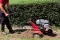 Motorna kopačica Einhell GC-MT 3060 LD 3430280 - thumbnail 4