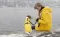 Kišni mantil za psa Vimy Yellow leđa 30cm Trixie 67971 - thumbnail 4