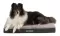 Trixie Ortopedski jastuk za pse Bendson Vital 140cm 36409 - thumbnail 4