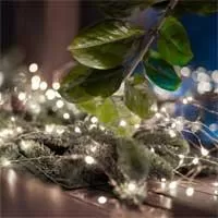 Kliknite za detalje - Dekorativne lampice na baterije 50 hladno belih LED dioda ML50/WH Kliknite za detalje - Dekorativne lampice na baterije 50 hladno belih LED dioda ML50/WH