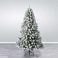 Kliknite za detalje - Novogodišnja jelka visine 210cm Evergreen Snowy Oxford Pine