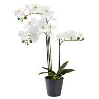 Kliknite za detalje - Veštačka biljka Orhideja 62cm