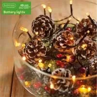 Kliknite za detalje - Lumineo LED lampice na baterije 24 LED 49.7101 Kliknite za detalje - Lumineo LED lampice na baterije 24 LED 49.7101