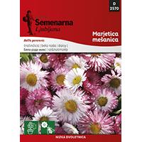 Kliknite za detalje - Seme za cveće 10 kesica Bela Rada - mešavina - Bellis perennis 2570