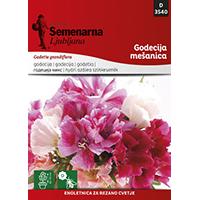 Kliknite za detalje - Seme za cveće 5 kesica Godecija mešavina - Godetia grandiflora 3540