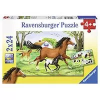 Kliknite za detalje - Ravensburger puzzle Dečije puzle - 2x24 - Životinje - Konji - World of Horses  2x24 dela RA08882 Kliknite za detalje - Ravensburger puzzle Dečije puzle - 2x24 - Životinje - Konji - World of Horses  2x24 dela RA08882