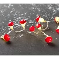 Kliknite za detalje - Novogodišnje lampice na baterije Mushroom 20 LED Kliknite za detalje - Novogodišnje lampice na baterije Mushroom 20 LED