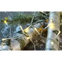 Kliknite za detalje - Novogodišnje lampice Runar 40 LED Kliknite za detalje - Novogodišnje lampice Runar 40 LED