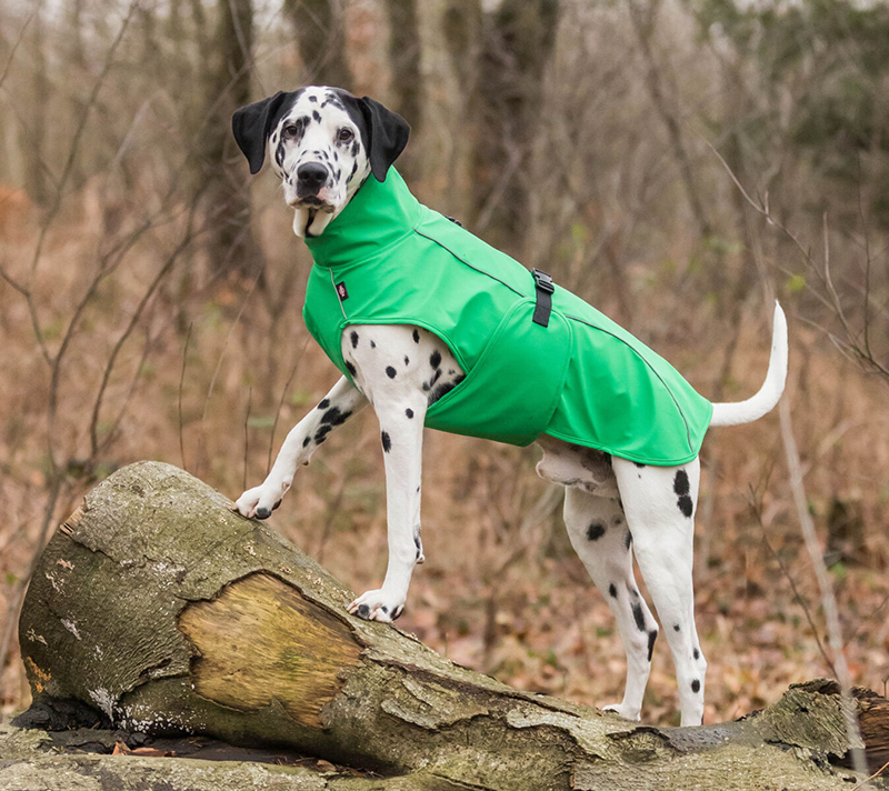 Kišni mantil za pse Vimy Green leđa 45cm Trixie 680234 - thumbnail 4